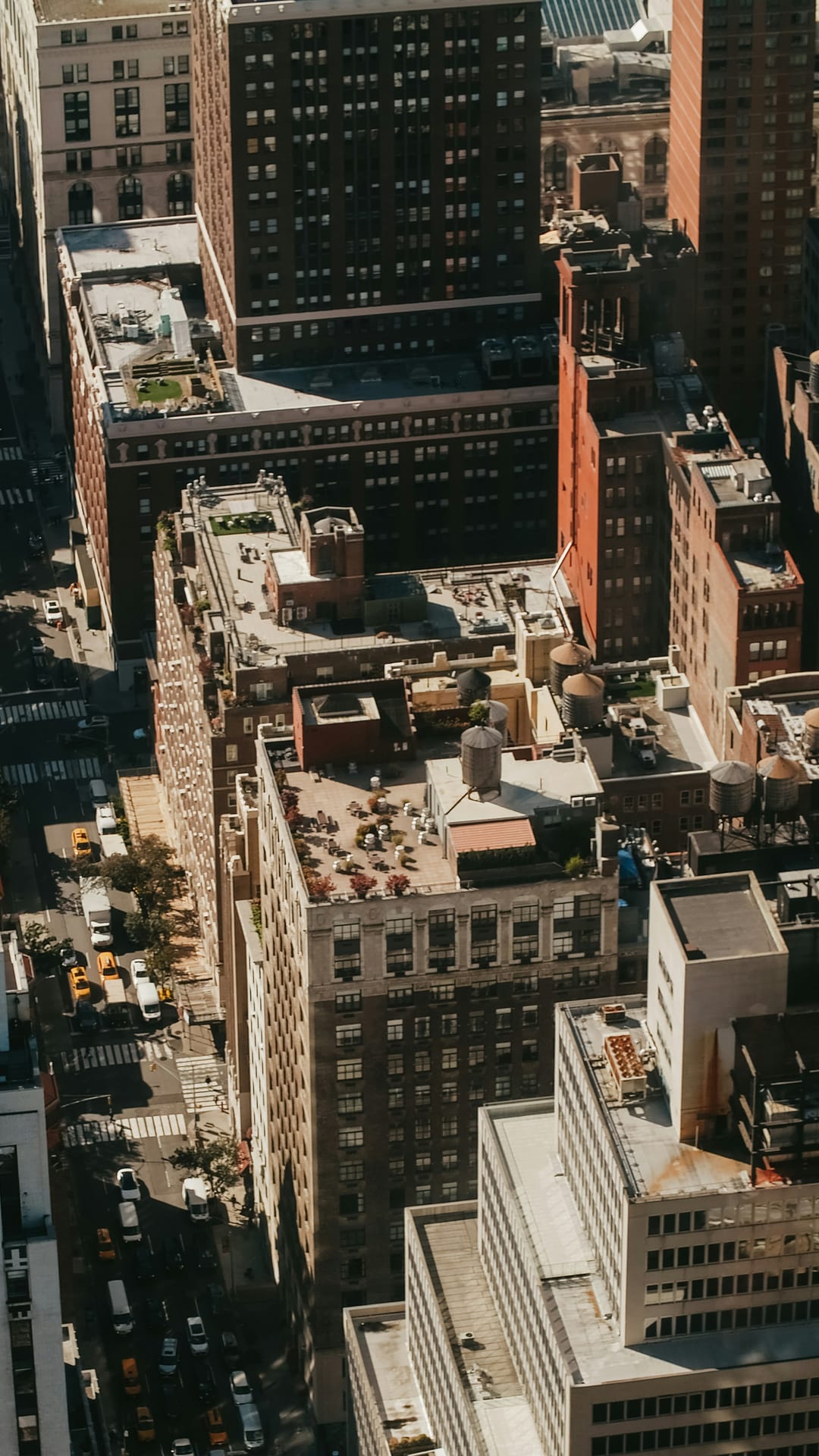 Above It All: New York City Seen, Felt, and Understood From the Top Down